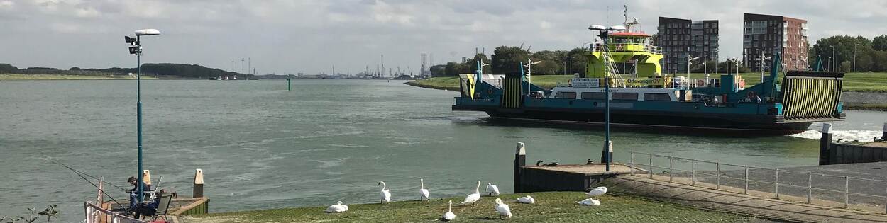Veerdienst Nieuwe Waterweg